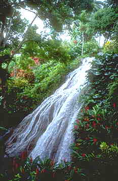 Kleiner Wasserfall im Shaw Park